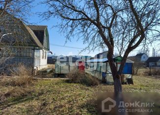 Продаю дом, 24 м2, деревня Курнявцево, Витебская улица