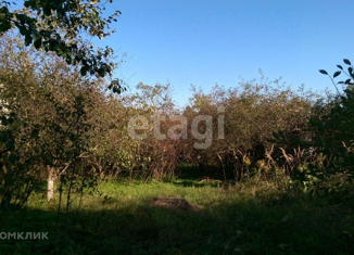 Продаю участок, 10.6 сот., деревня Борисовка, деревня Борисовка, 5