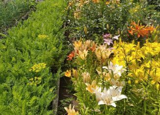 Продам дом, 24 м2, Ревда, площадь Победы