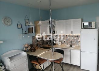 Продаю квартиру студию, 25 м2, Пушкин, Камероновская улица, 10с1