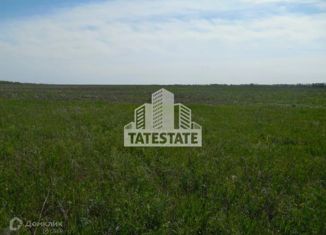 Продажа земельного участка, 100000 сот., село Пестрецы, улица Осипова, 95