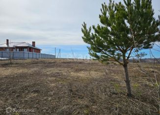 Продажа участка, 12 сот., село Пестрецы, Окольная улица, 37