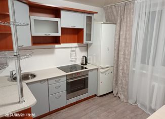 Сдам в аренду 1-ком. квартиру, 34.9 м2, Сыктывкар, Тентюковская улица, 123, район Орбита