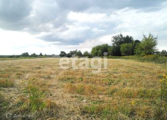 Продажа земельного участка, 40 сот., деревня Большая Рябцева