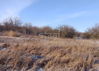 Продажа земельного участка, 20 сот., деревня Суркино, Молодёжная улица, 30А