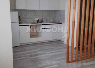 Продается 1-комнатная квартира, 34 м2, Новосибирская область, улица Ошанина, 3