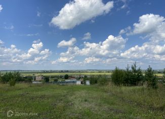 Продам земельный участок, 24 сот., село Петровское