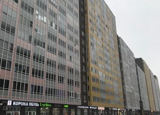 Продаю квартиру студию, 26.4 м2, Кудрово, Столичная улица, 2, ЖК Лондон