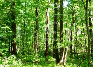 Земельный участок на продажу, 12.24 сот., поселок Мещерино