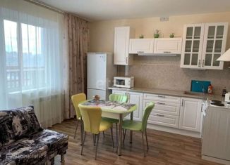 Продается двухкомнатная квартира, 49 м2, Челябинск, улица Чичерина, 43, жилой район Академ Риверсайд