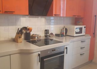 Сдается в аренду 2-комнатная квартира, 60 м2, Мурино, проспект Авиаторов Балтики, 7, ЖК Виктория