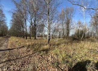 Продажа участка, 20.7 сот., посёлок Евтиховский, Молодёжная улица