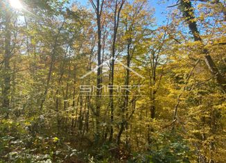 Продажа участка, 6.2 сот., село Цыпка