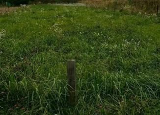 Продается земельный участок, 9.7 сот., деревня Шопино, деревня Шопино, 30