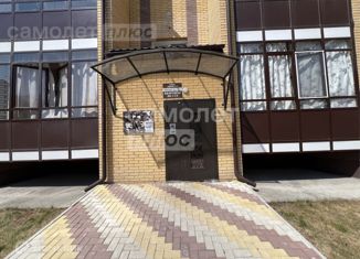 Продается 1-комнатная квартира, 48 м2, Абакан, улица Арбан, 10