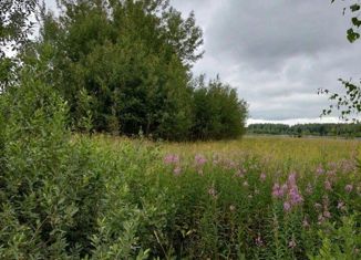 Продаю земельный участок, 30 сот., деревня Горетово, Весенняя улица