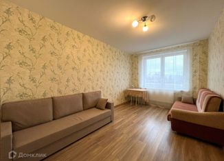 Сдаю в аренду 1-ком. квартиру, 33 м2, деревня Кудрово, Областная улица, 1