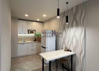 Сдача в аренду квартиры студии, 27.5 м2, Ижевск, Воткинское шоссе, 41, ЖК Кислород Сити