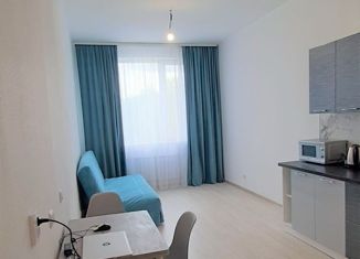 Продаю квартиру студию, 27 м2, Краснодар, улица Героя А.А. Аверкиева, 13, улица Героя А.А. Аверкиева