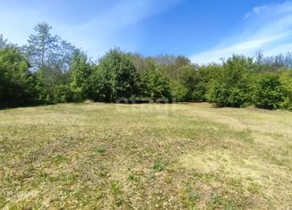 Продажа участка, 8 сот., рабочий посёлок Разумное, СТ Вишенка, 416