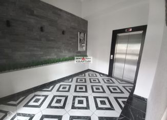 Продам однокомнатную квартиру, 43 м2, деревня Киселёвка, Раздольная улица, 14