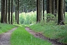 Участок на продажу, 8 сот., село Введенское