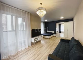 Сдается в аренду однокомнатная квартира, 48 м2, Воронеж, улица Берёзовая Роща, 4Ак2