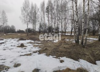 Продаю участок, 22.4 сот., посёлок Евтиховский, Молодёжная улица