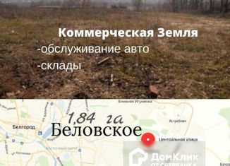 Продам земельный участок, 184 сот., село Беловское, Центральная улица