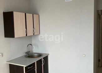 Сдается в аренду 1-комнатная квартира, 30.1 м2, деревня Патрушева