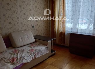 Сдается в аренду однокомнатная квартира, 30 м2, Санкт-Петербург, улица Черкасова, 5к2, муниципальный округ № 21