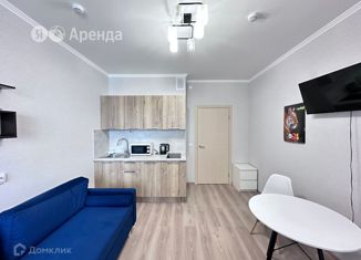 Аренда квартиры студии, 22 м2, посёлок Парголово, Брюлловская улица, 3, ЖК Континенты