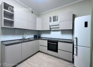 Сдам 1-ком. квартиру, 45 м2, Санкт-Петербург, улица Жукова, 3, улица Жукова