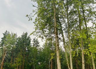 Продаю дом, 120 м2, деревня Копнино, Полевая улица