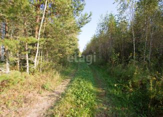 Продажа участка, 238 сот., деревня Мужачи