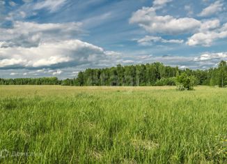 Продается участок, 100 сот., село Беркут