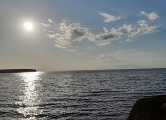 Продам дом, 30 м2, посёлок Каменники, Лавровский переулок, 11