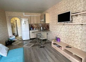 Сдается квартира студия, 24 м2, Мурино, Петровский бульвар, 7, ЖК Ласточка