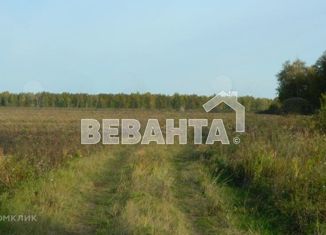 Продажа земельного участка, 870 сот., село Беркут, улица Мира