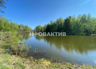 Продается участок, 6 сот., садоводческое некоммерческое товарищество Восток, садоводческое некоммерческое товарищество Восток, 160Н