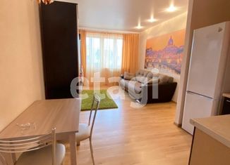 Сдаю квартиру студию, 28 м2, село Осиновая Гора, Уютный проезд, 1