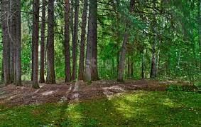 Продам земельный участок, 8 сот., село Введенское