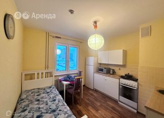 Сдам 1-комнатную квартиру, 40 м2, Санкт-Петербург, Витебский проспект, 99к2