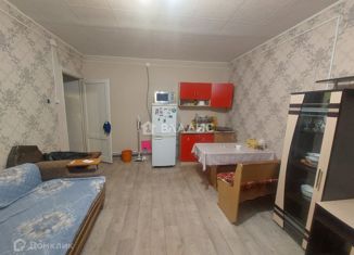 Продажа 1-комнатной квартиры, 25.5 м2, Улан-Удэ, Забайкальская улица, 24