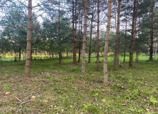 Продажа участка, 28 сот., деревня Смерди