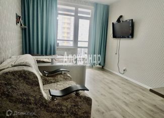 Квартира на продажу студия, 25 м2, поселок Бугры, Воронцовский бульвар, 11к6, ЖК Светлановский