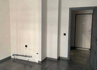 Продаю 1-комнатную квартиру, 46 м2, посёлок Знаменский, Природная улица, 10Бк8