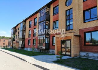 1-комнатная квартира на продажу, 31.7 м2, дачный посёлок Мочище, Лиственная улица, 6