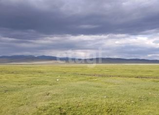 Продаю земельный участок, 1613.5 сот., село Ташанта, Центральная улица
