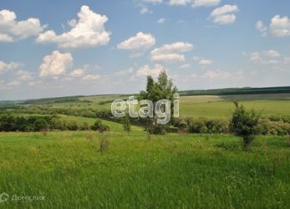 Продаю земельный участок, 20 сот., деревня Жашково